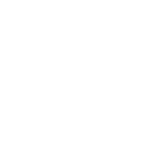 Language Icon